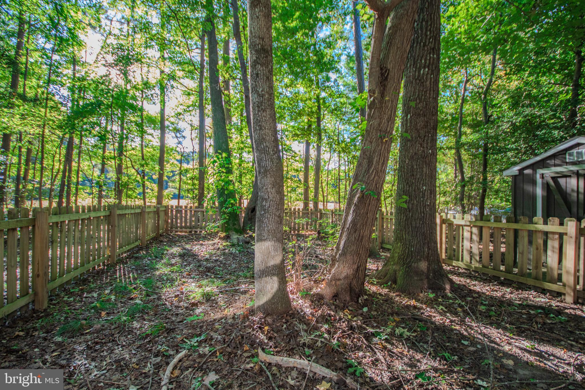 60 Beaconhill Road Ocean Pines, MD 21811 - Photo 24 of 30 a backyard of a house with lots of green space