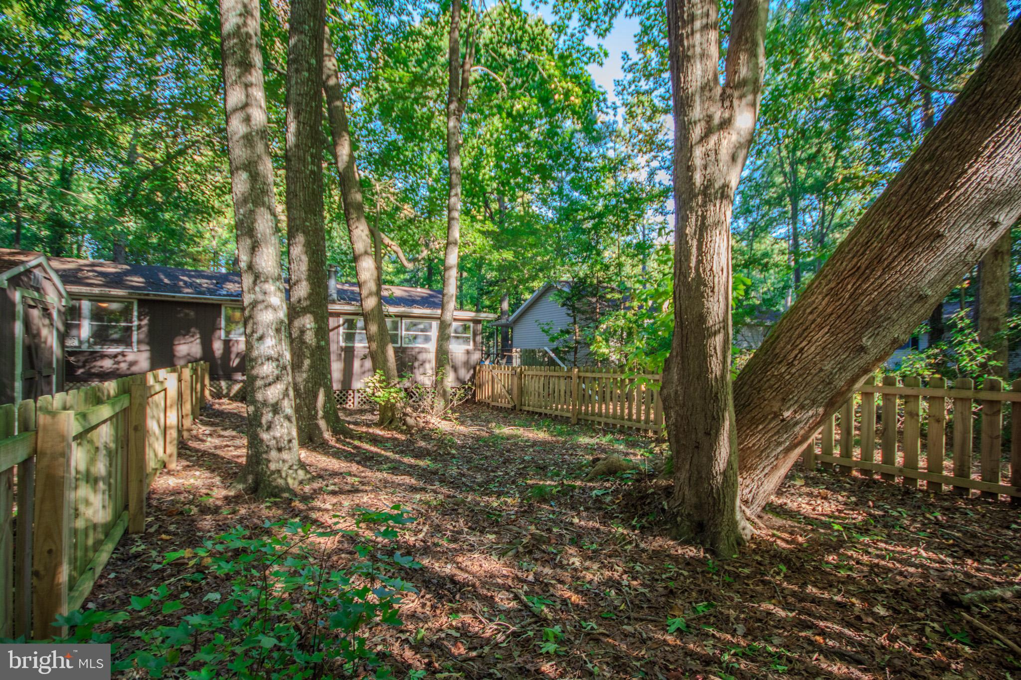 60 Beaconhill Road Ocean Pines, MD 21811 - Photo 26 of 30 a view of a yard with a tree