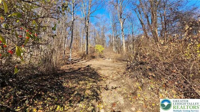a view of yard with trees