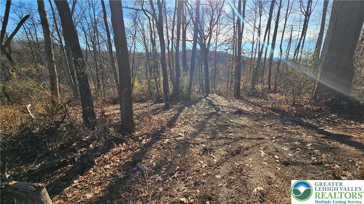 4057 Sherry Hill Road Hellertown, PA 18055 - Photo 11 of 20 a view of outdoor space and yard