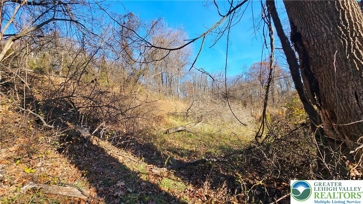 4057 Sherry Hill Road Hellertown, PA 18055 - Photo 15 of 20 a view of yard with green space