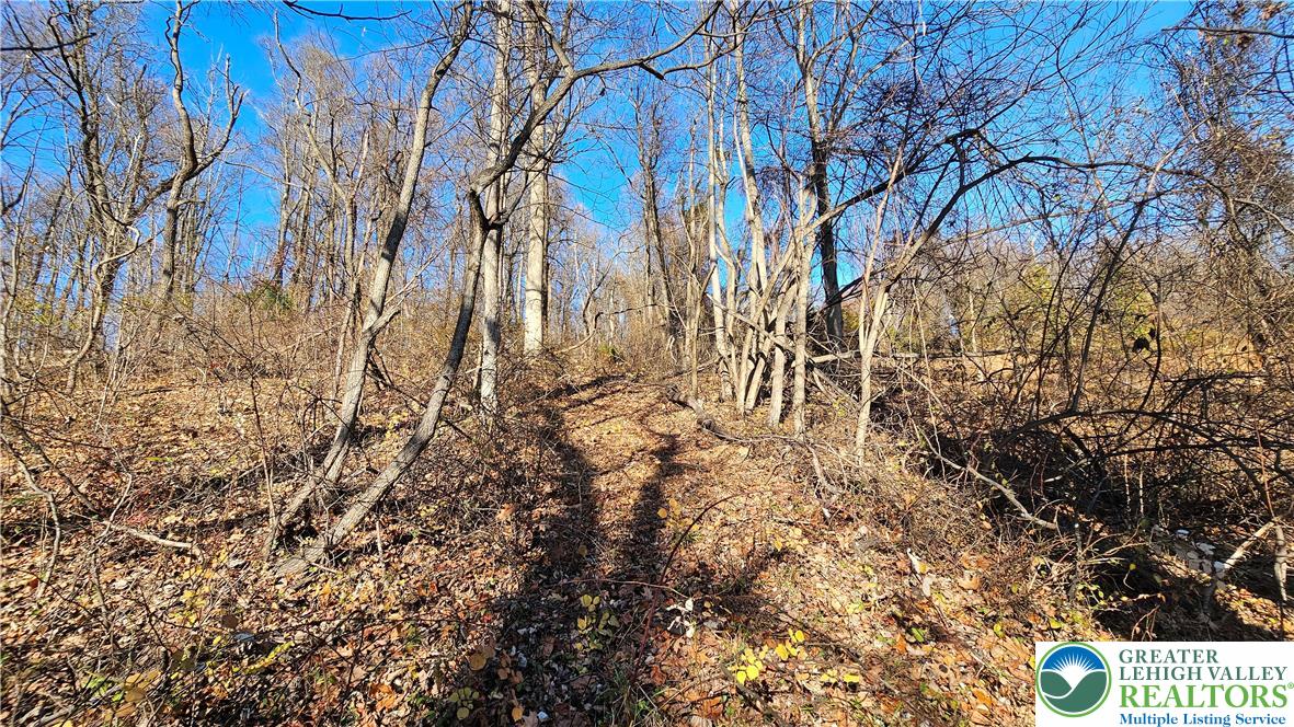 4057 Sherry Hill Road Hellertown, PA 18055 - Photo 16 of 20 a view of yard