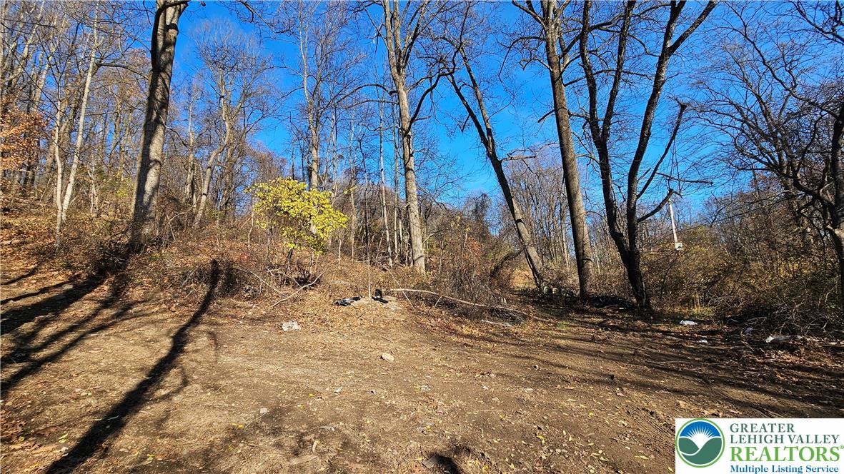 4057 Sherry Hill Road Hellertown, PA 18055 - Photo 6 of 20 a view of a backyard of the house