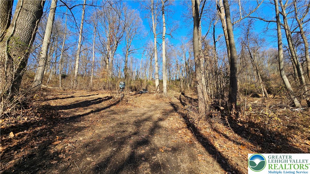 4057 Sherry Hill Road Hellertown, PA 18055 - Photo 8 of 20 a view of a yard with trees