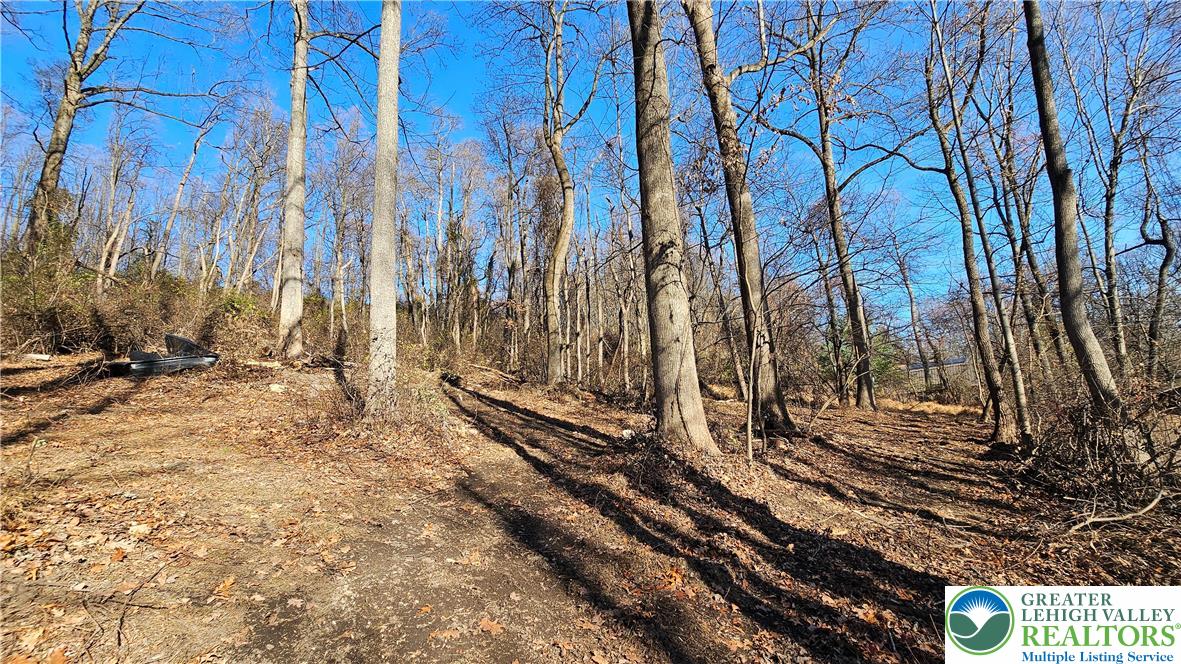 4057 Sherry Hill Road Hellertown, PA 18055 - Photo 9 of 20 a view of a backyard of the house