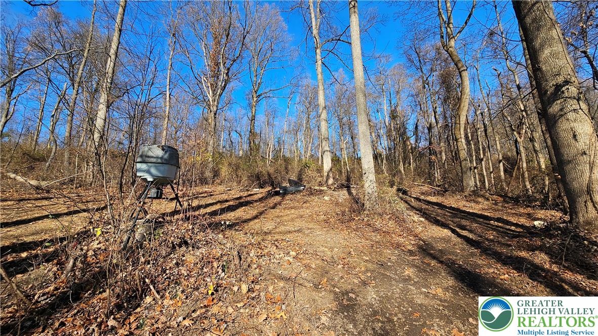 4057 Sherry Hill Road Hellertown, PA 18055 - Photo 10 of 20 a view of a backyard of the house