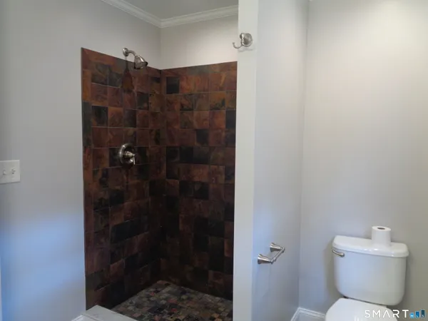 a bathroom with a shower and toilet