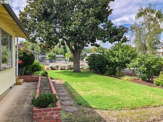 a view of a back yard