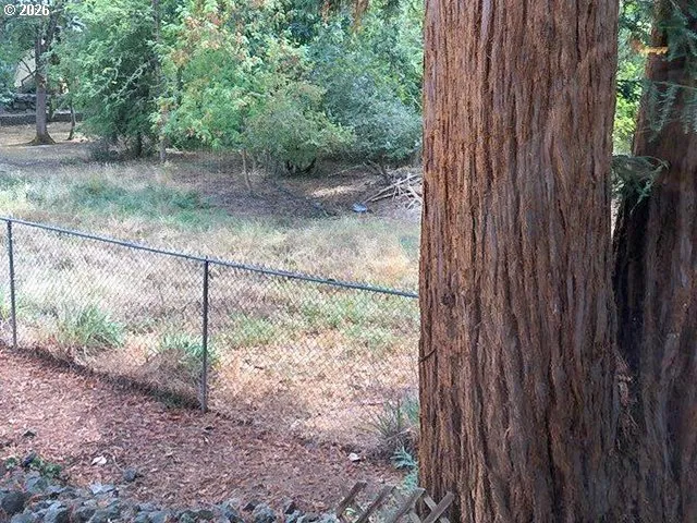 a view of a backyard