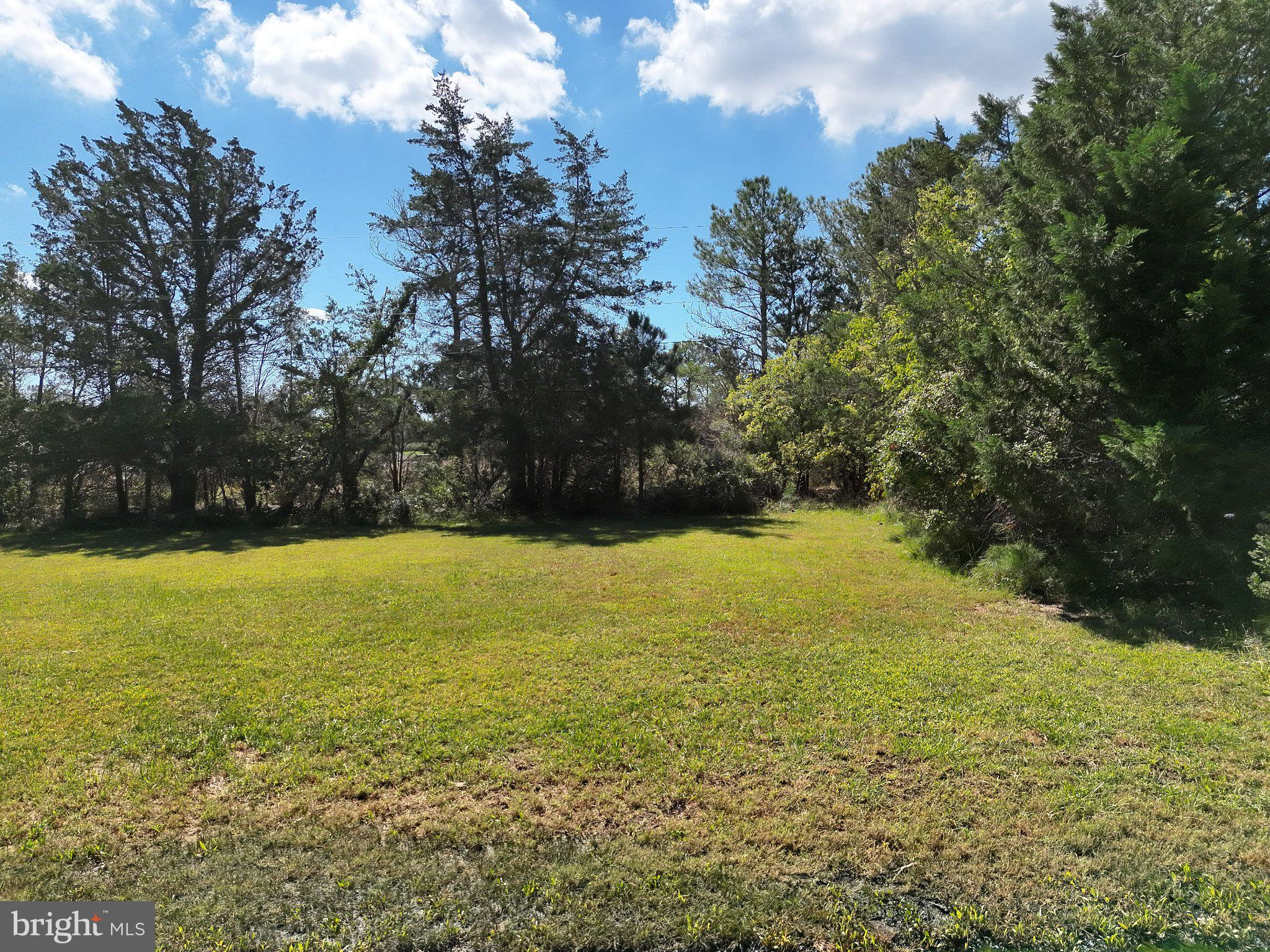 1609 Heliport Road Woolford, MD 21677 - Photo 14 of 30 Gallery Image 14