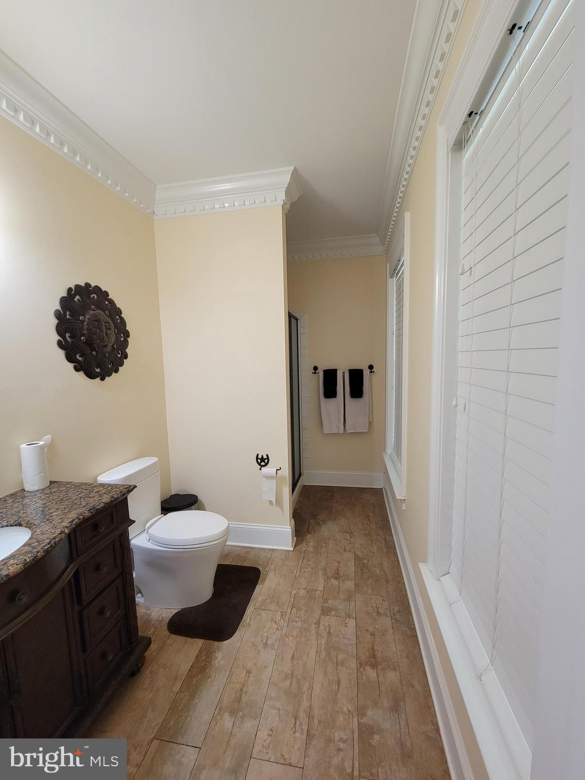 22354 Dragoon Road Lignum, VA 22726 - Photo 19 of 74 Full bath on the main level