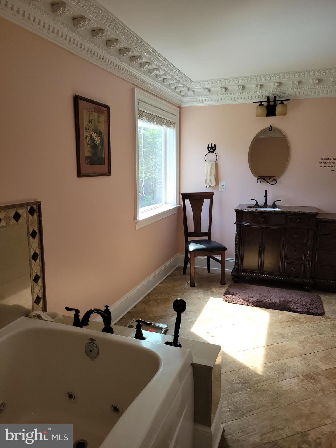 22354 Dragoon Road Lignum, VA 22726 - Photo 47 of 74 Jetted tub and shower
