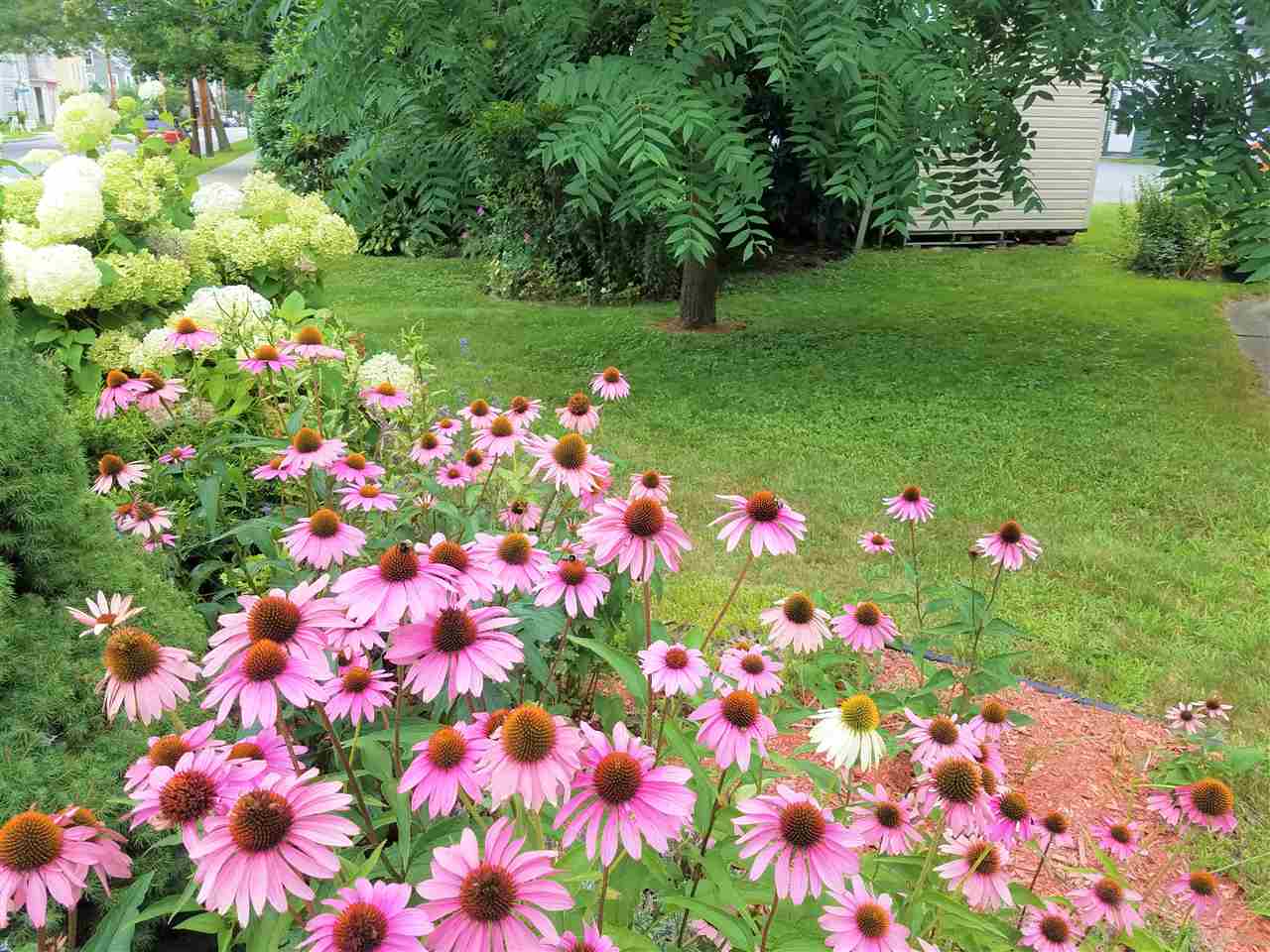 57 Atkinson Street Rockingham, VT 05101 - Photo 26 of 26 Gallery Image 26
