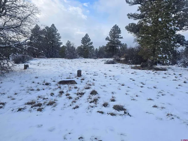 a view of a dry yard covered with snow