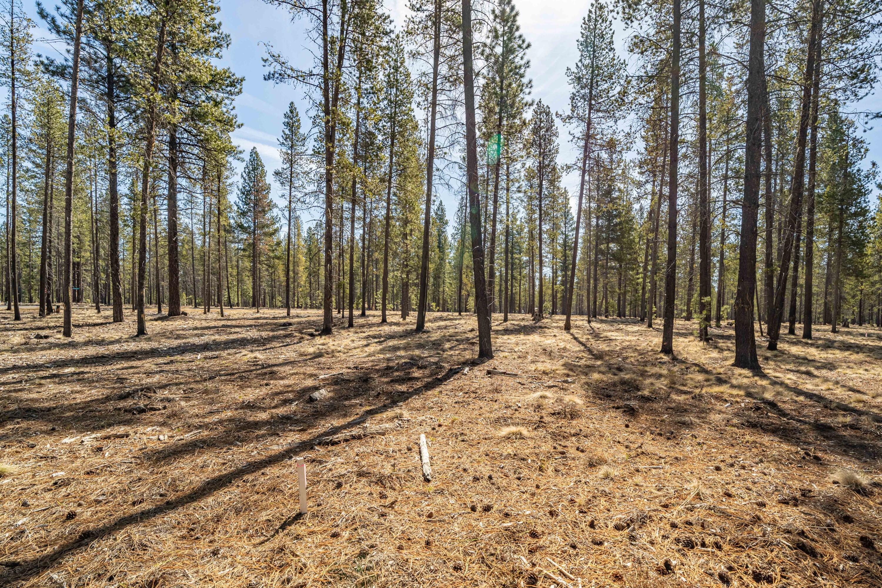 Preservation Loop Bend, Unit 466 Bend, OR 97707 - Photo 7 of 21 DSC07563-HDR