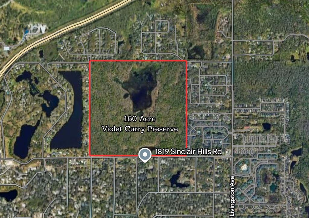 1819 Sinclair Hills Road Lutz, FL 33549 - Photo 7 of 60