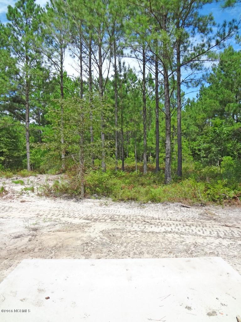 281 Folkstone Road Holly Ridge, NC 28445 - Photo 23 of 26 View From Back Door