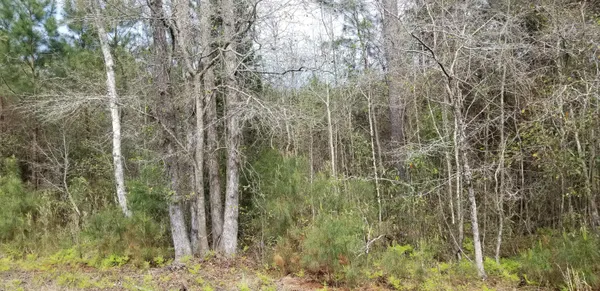 $150,000 | 0 Randolph Drive, Smoaks, SC 29481