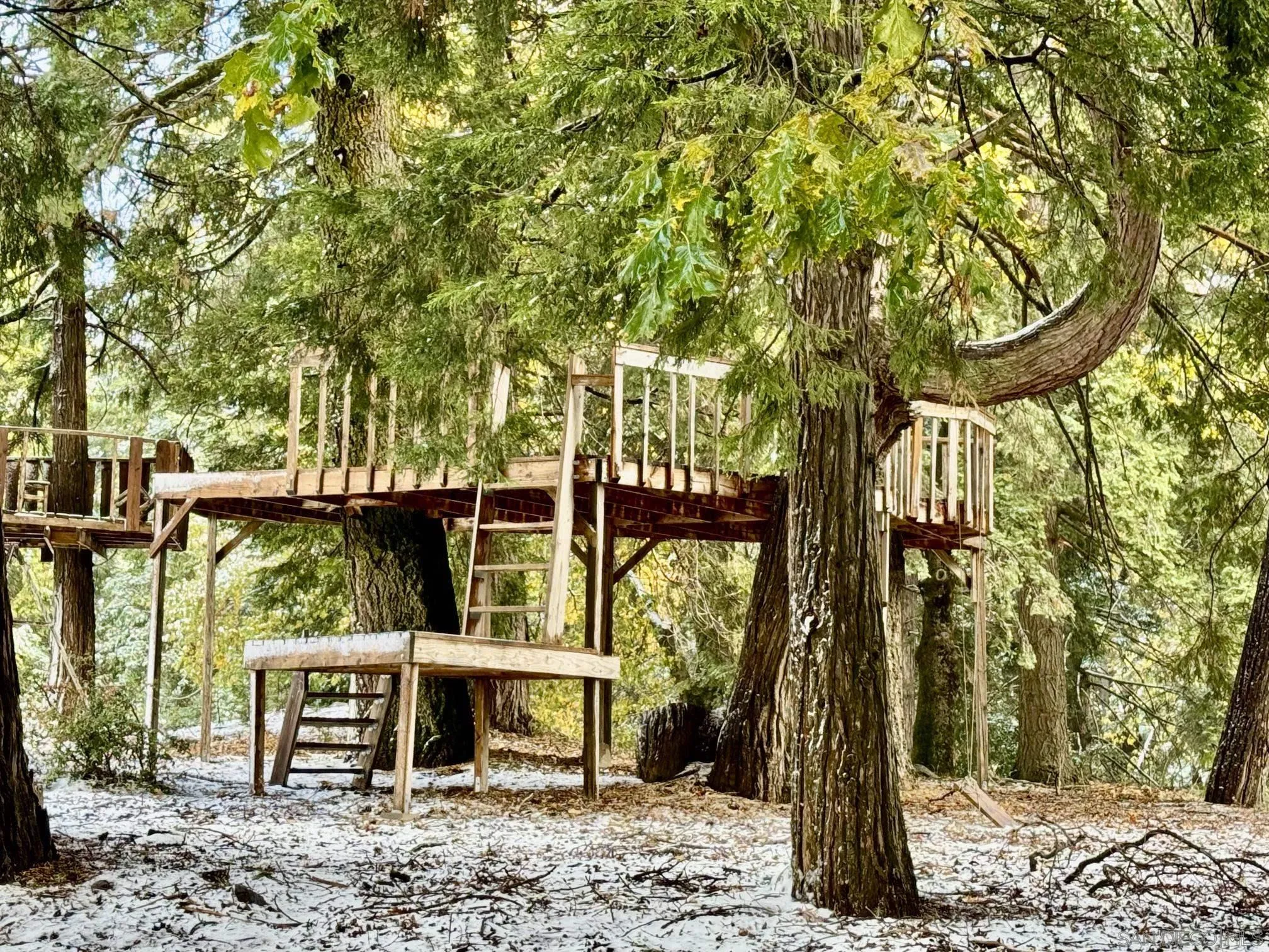 3413 Fern Meadow Road Palomar Mountain, CA 92060 - Photo 32 of 38 a backyard of a house with large trees