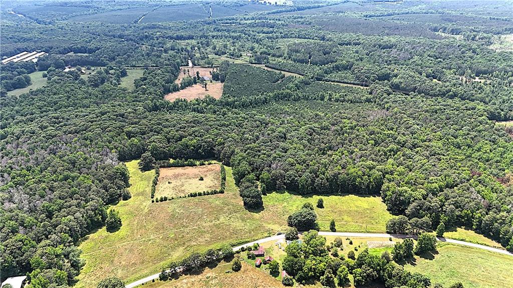 1 Melear Road Bowdon, GA 30108 - Photo 11 of 51