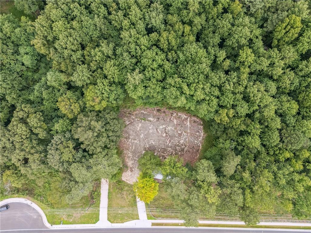 4527 Cumming Highway Canton, GA 30115 - Photo 2 of 8 a view of a yard with a tree