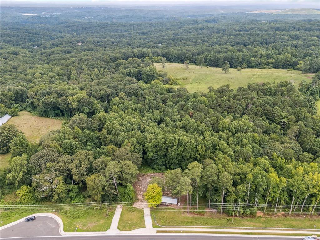 4527 Cumming Highway Canton, GA 30115 - Photo 3 of 8 a view of a yard with a house
