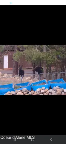 $749,000 | 34517 North Hayden Drive, Spirit Lake, ID 83869