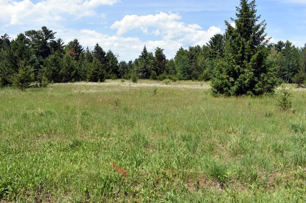 1 County Road 1 Southwest Pine River, MN 56474 - Photo 2 of 11