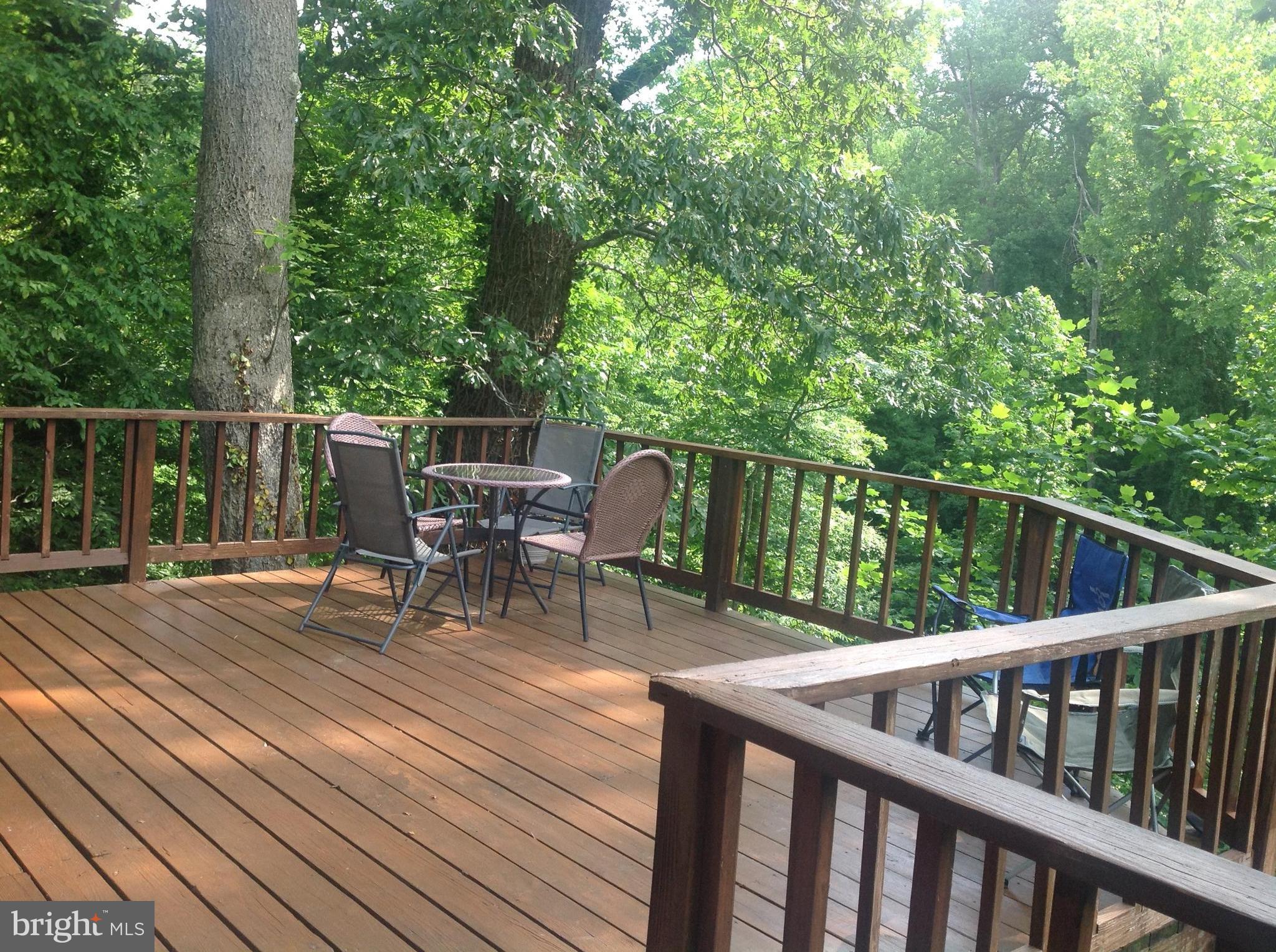 2773 Allspice Road Port Republic, MD 20676 - Photo 14 of 26 Huge deck amongst the tree tops!