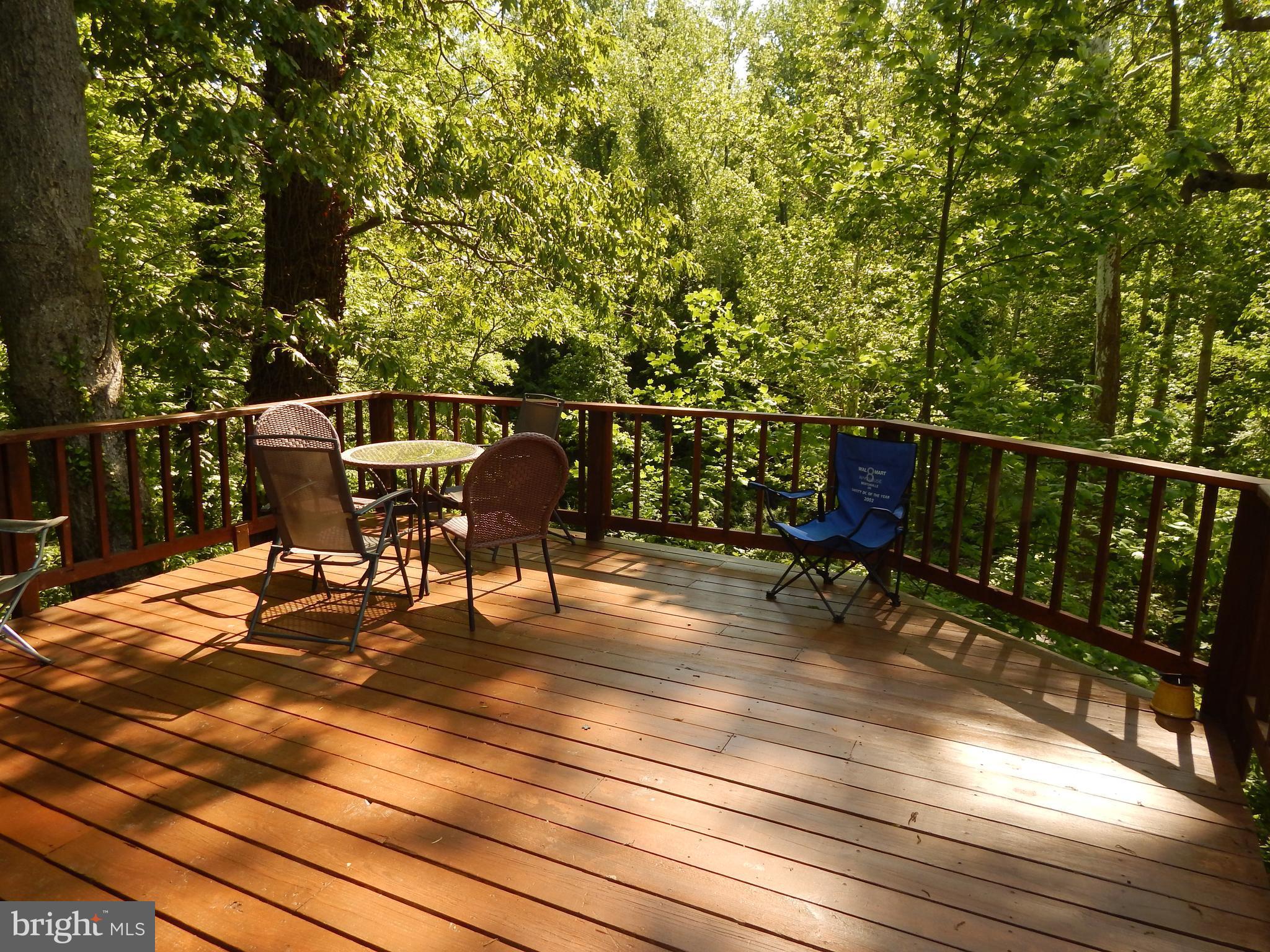 2773 Allspice Road Port Republic, MD 20676 - Photo 16 of 26 Huge rear deck facing the woods.