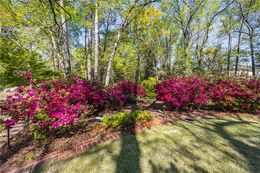 406 St Francis Road Eufaula, AL 36027 - Photo 41 of 50 Gallery Image 41