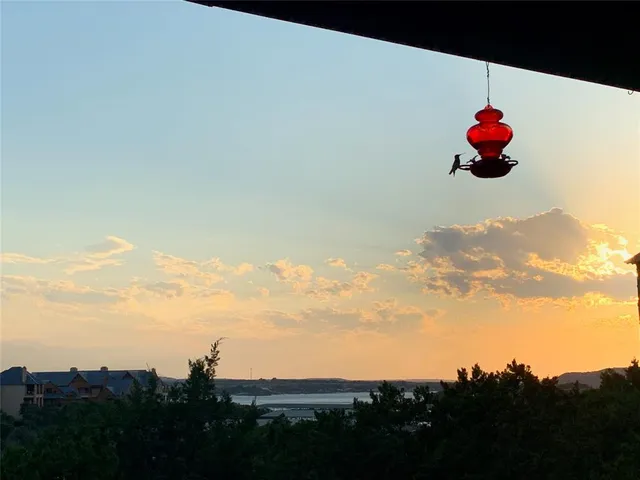 a aerial view of a yard