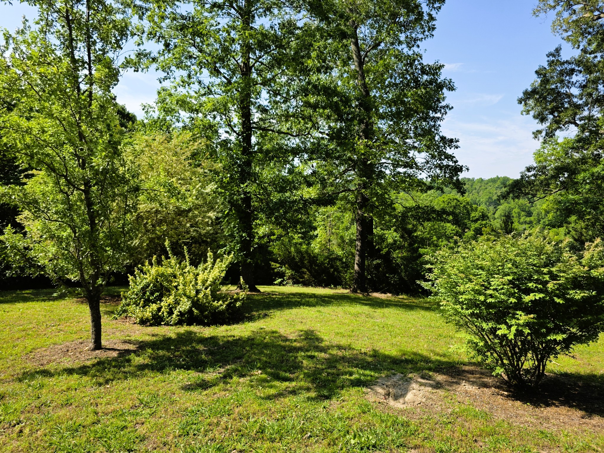 1975 Kelly Road Holladay, TN 38341 - Photo 87 of 95