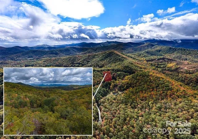 $25,000 | 99999 Mills River Way, Unit 107, Horse Shoe, NC 28742