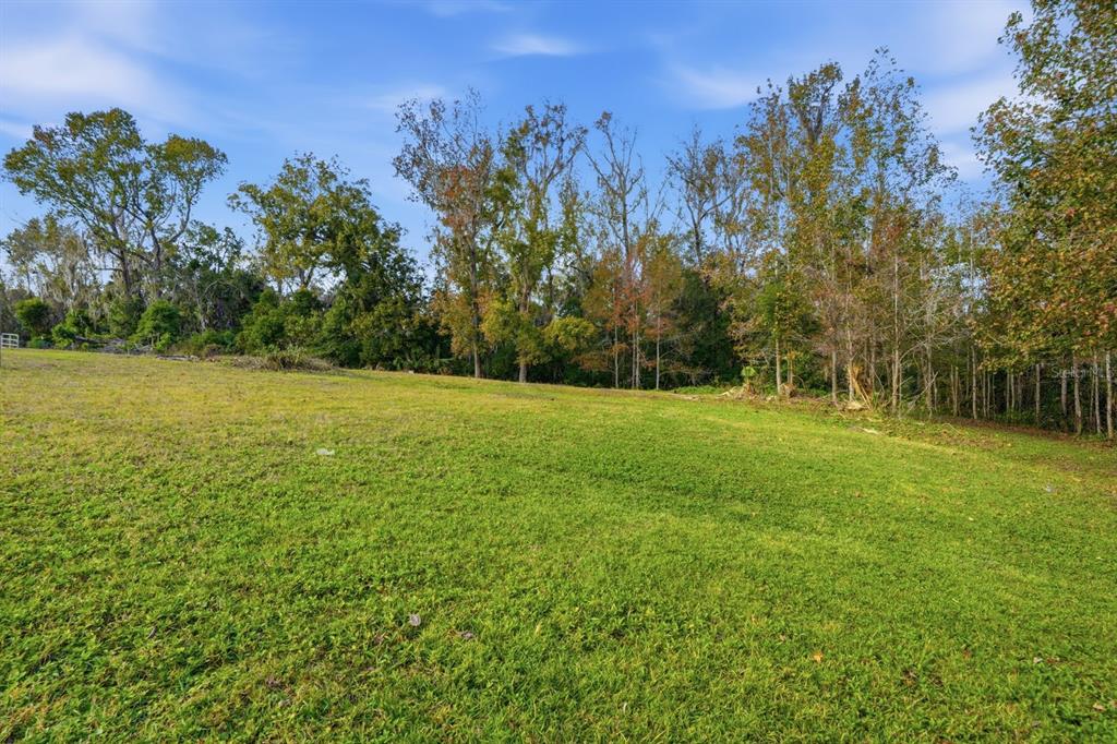 120 Creek Crossing Road Port Orange, FL 32128 - Photo 26 of 99