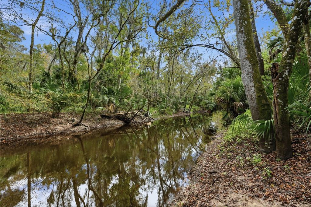 120 Creek Crossing Road Port Orange, FL 32128 - Photo 28 of 99