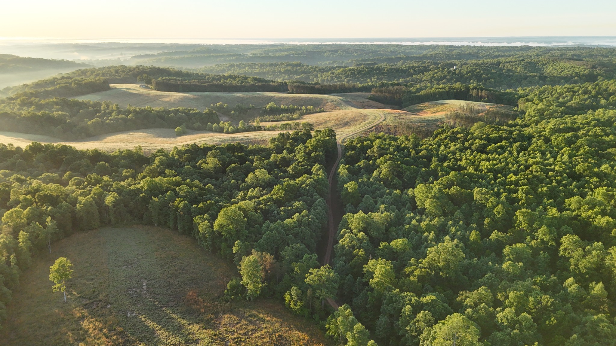 0 Seven 7 Mile Ridge Road Indian Mound, TN 37079 - Photo 10 of 27