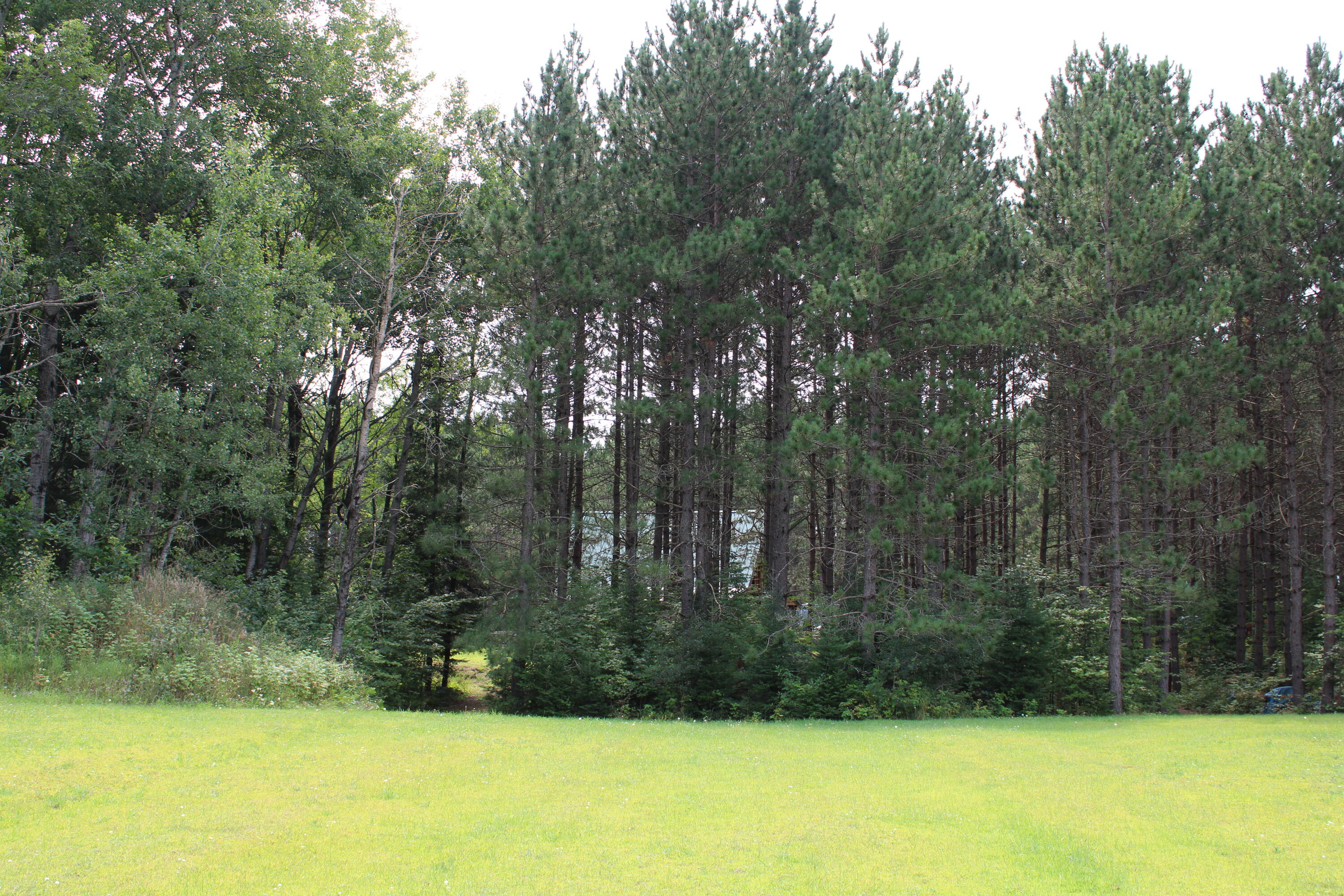 1094 East Helmer Lake Road Fairview, MI 48621 - Photo 22 of 27 IMG_0561