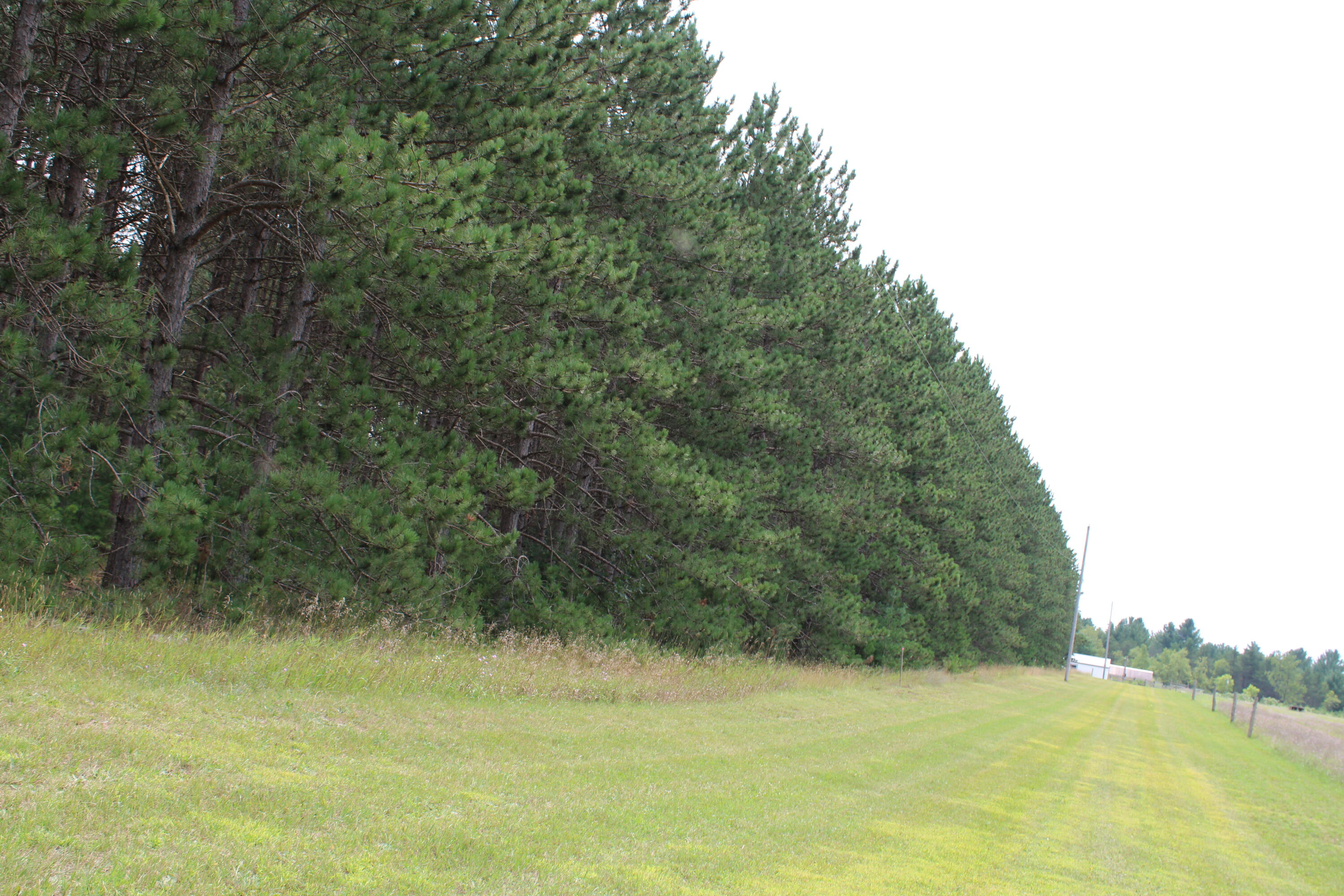 1094 East Helmer Lake Road Fairview, MI 48621 - Photo 26 of 27 IMG_0565