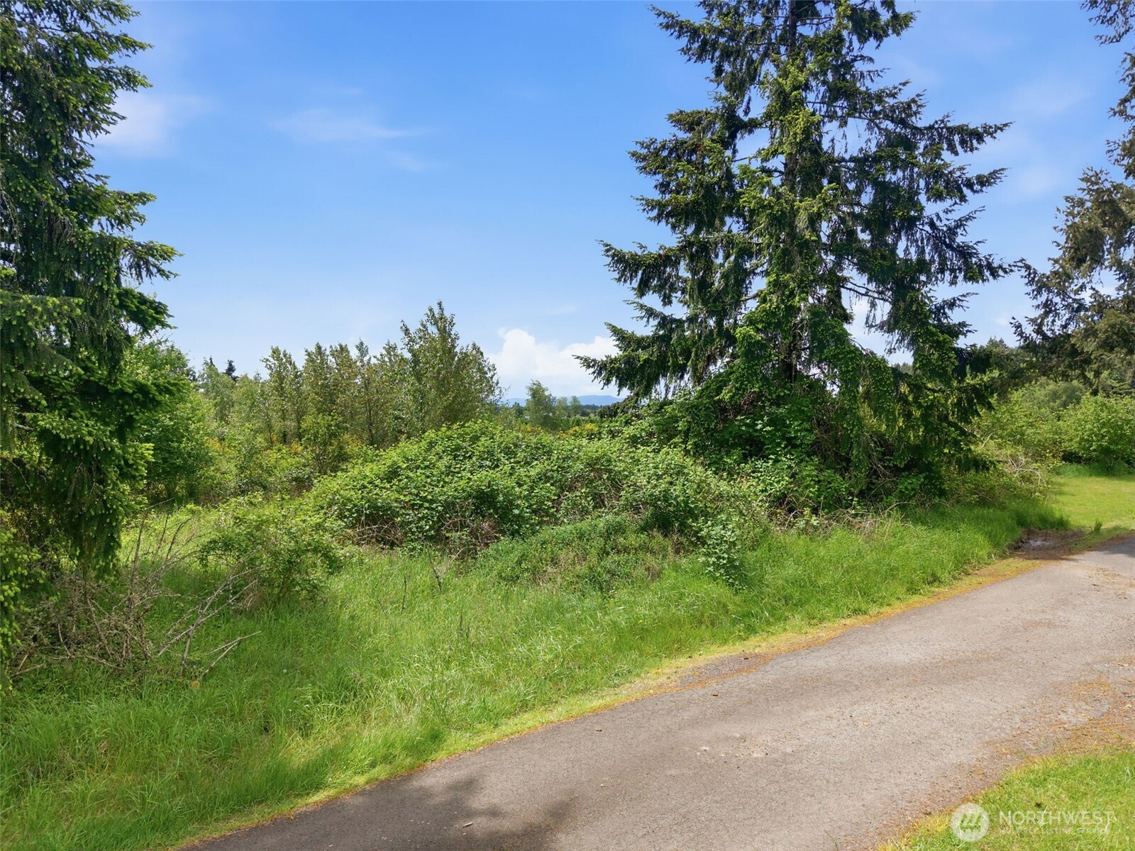 2 Shiloh Road Winlock, WA 98596 - Photo 9 of 16 a view of a garden with a tree