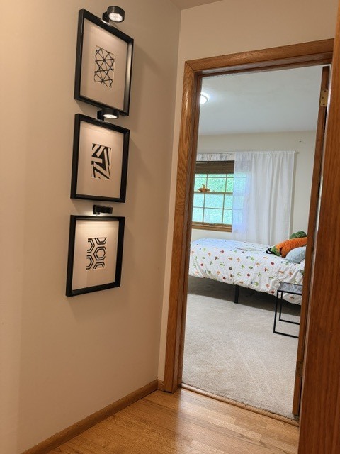 16 Falkirk Road Hawthorn Woods, IL 60047 - Photo 48 of 77