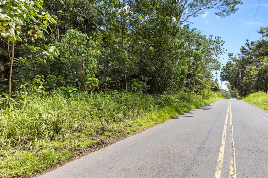 16 East Lot Pahoa, HI 96778 - Photo 16 of 21 a view of a garden