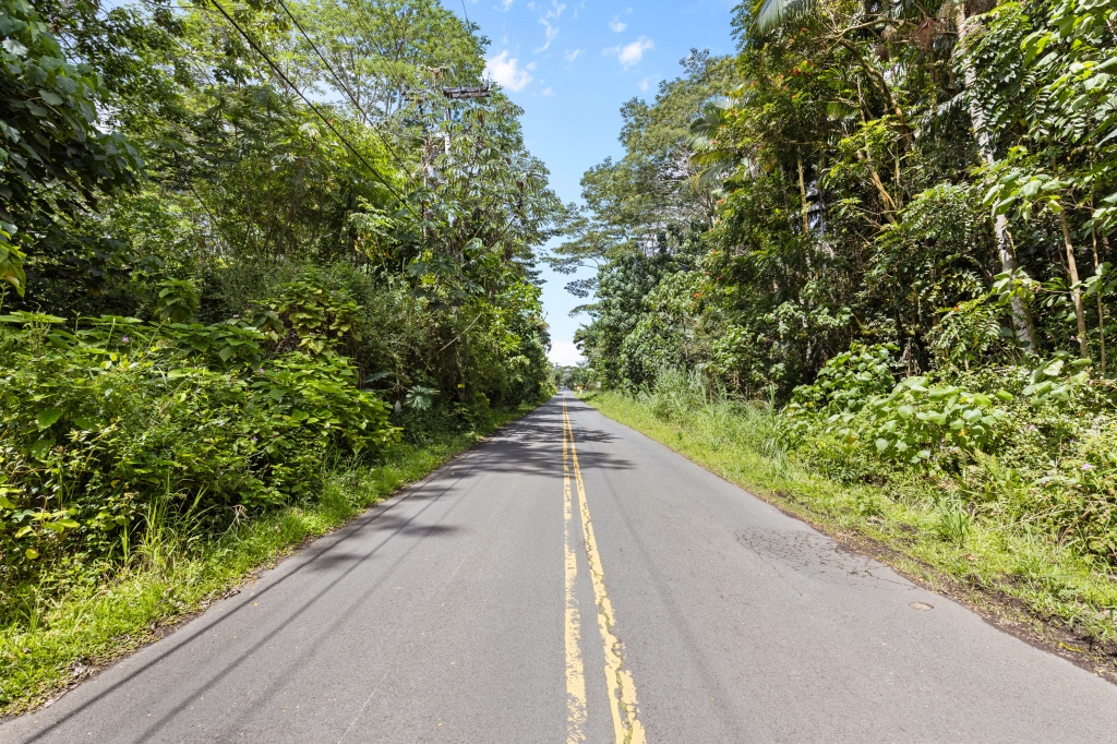 16 East Lot Pahoa, HI 96778 - Photo 17 of 21 a view of a garden