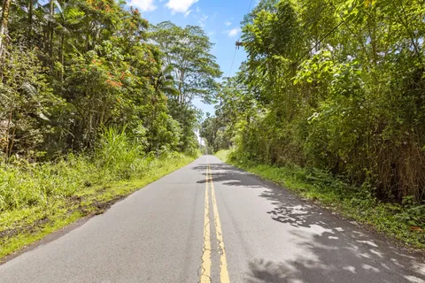 a view of a garden with an outdoor space