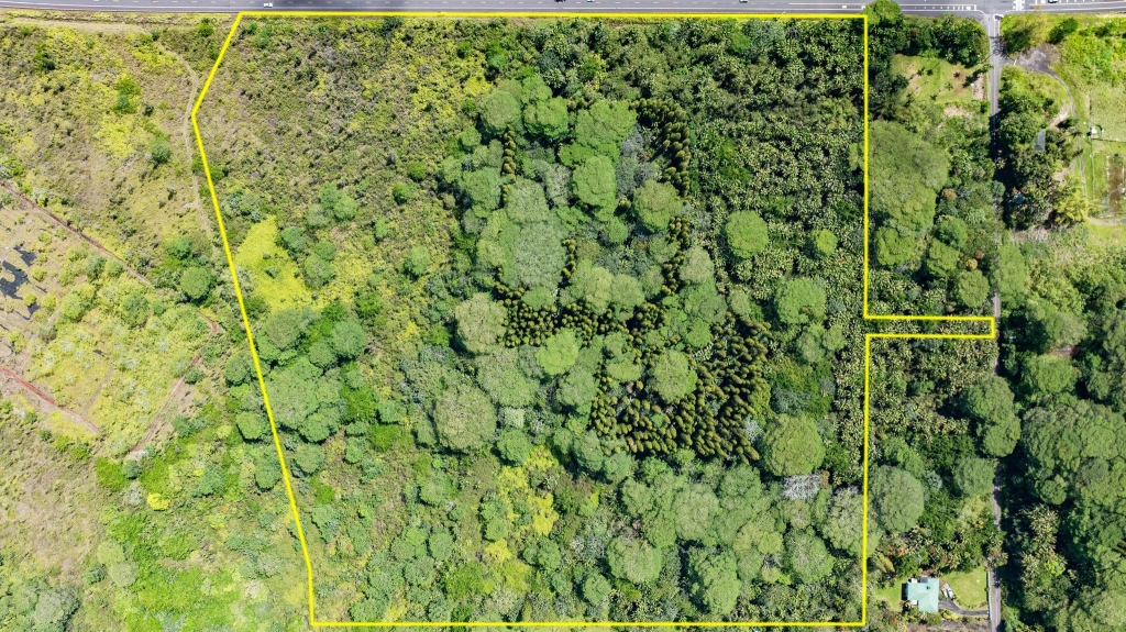 16 East Lot Pahoa, HI 96778 - Photo 4 of 21 a view of a garden