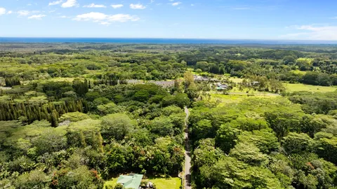 a view of a city with lush green forest