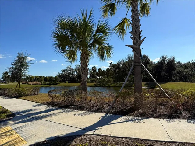a view of a lake with a yard and palm trees