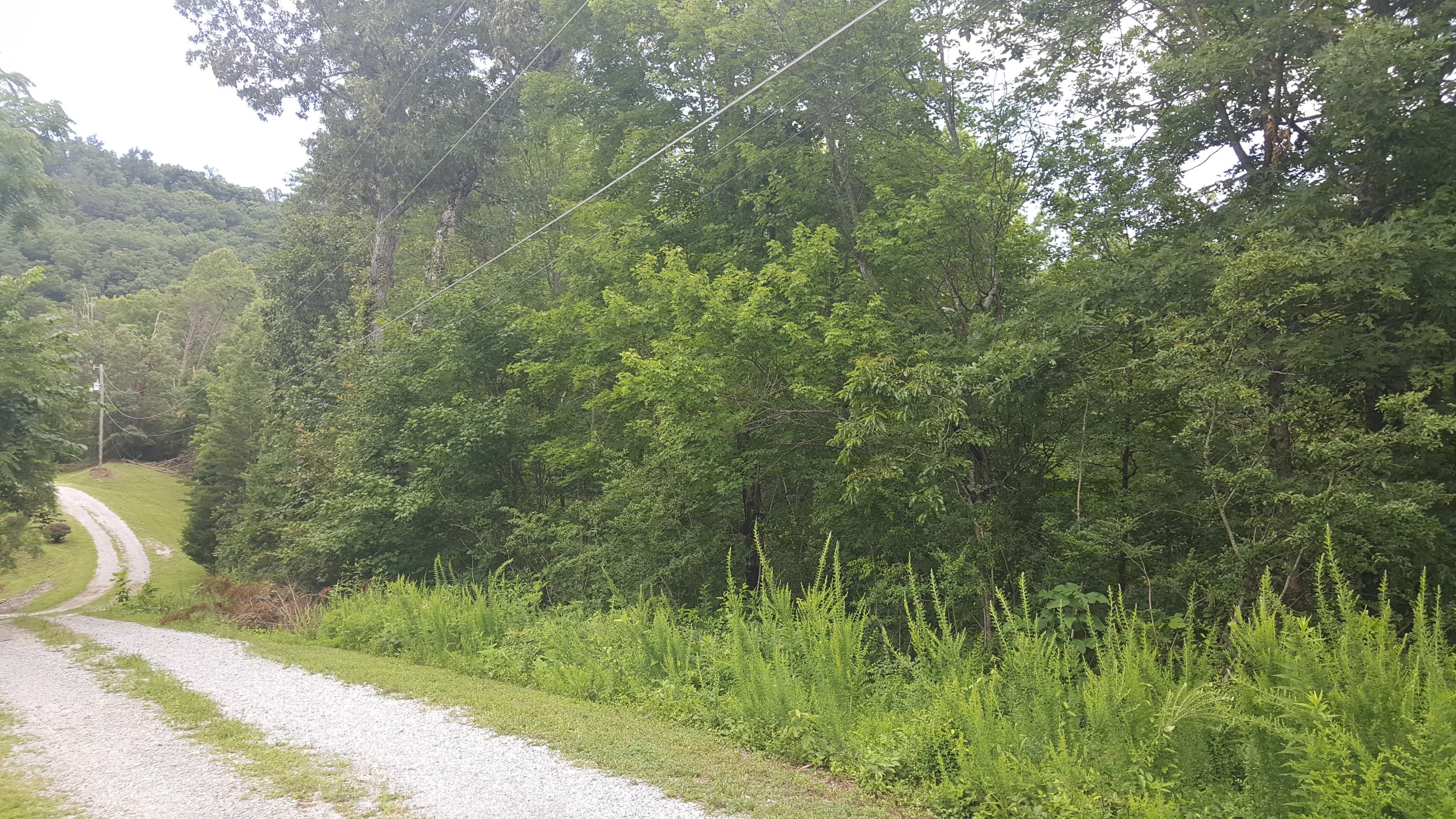 Rising Sun Drive Corryton, TN 37721 - Photo 1 of 3 Rising Sun #1