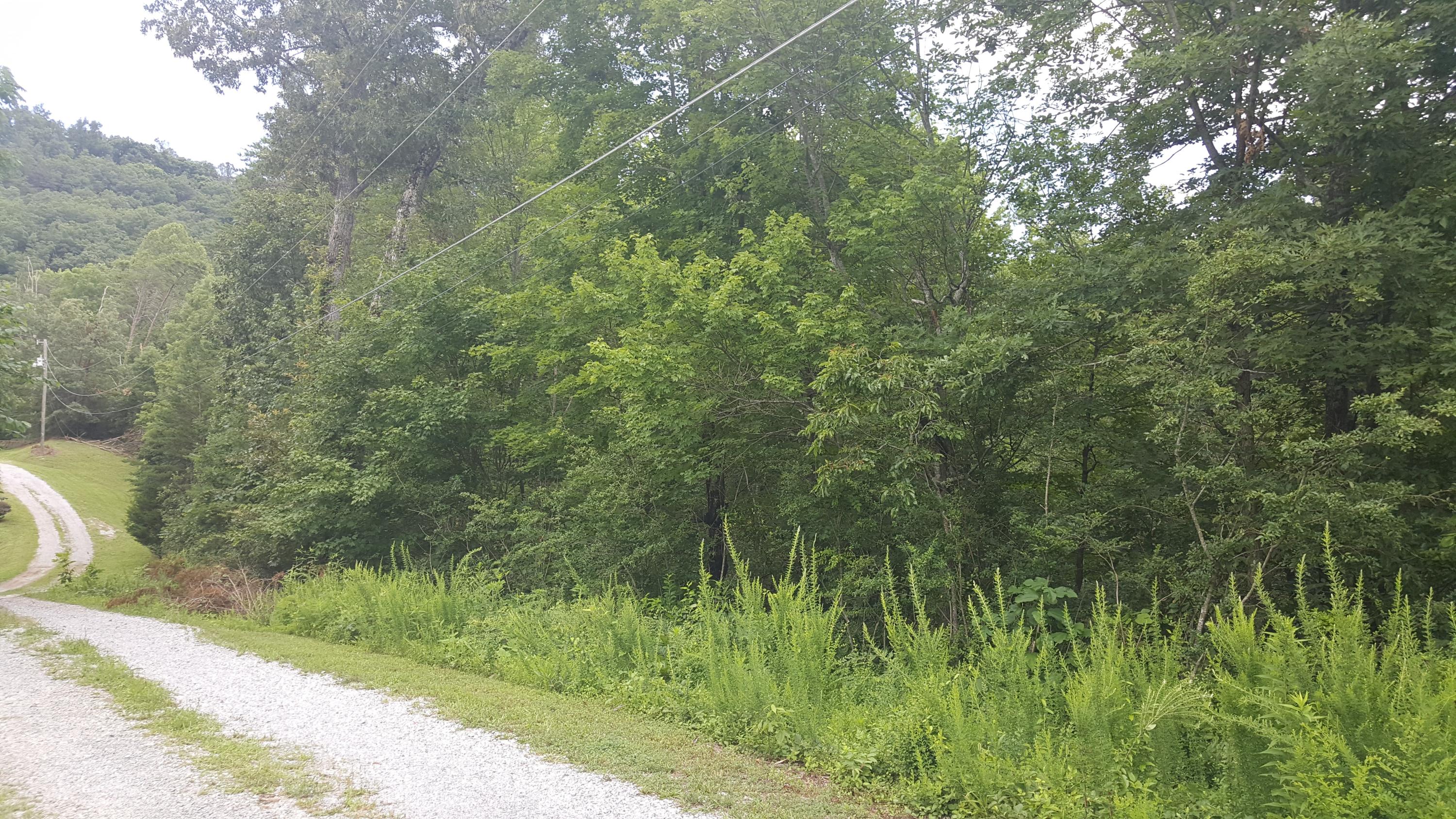 Rising Sun Drive Corryton, TN 37721 - Photo 3 of 3 Rising Sun #3