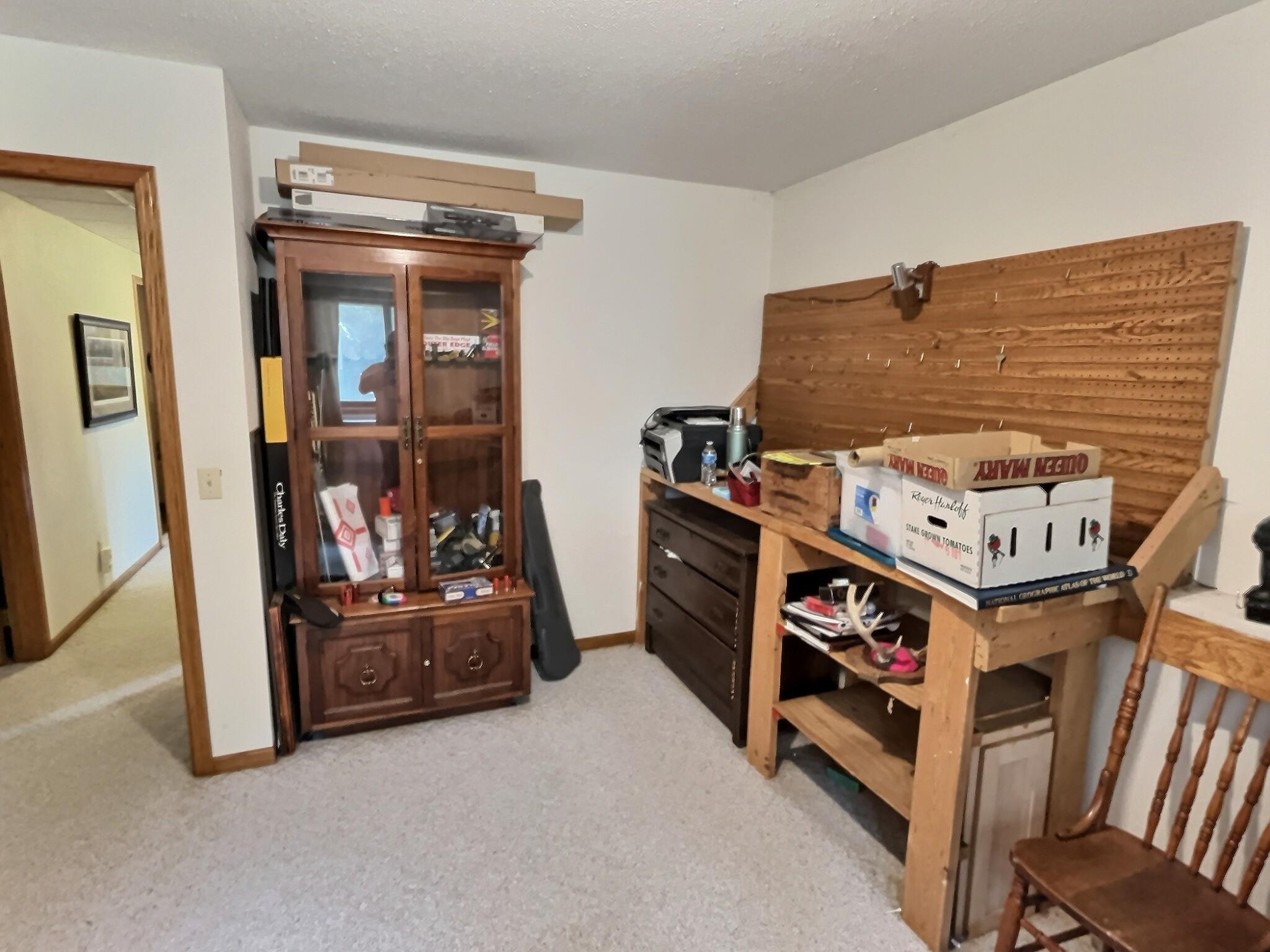 194 Elderberry Road Clearwater, MN 55320 - Photo 17 of 34